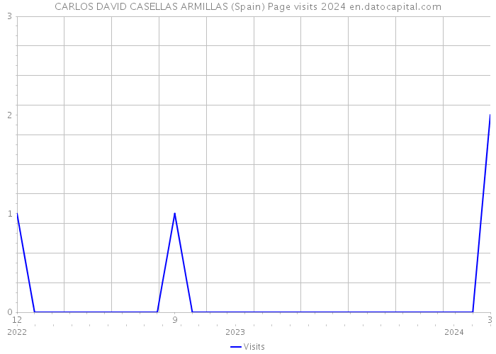 CARLOS DAVID CASELLAS ARMILLAS (Spain) Page visits 2024 