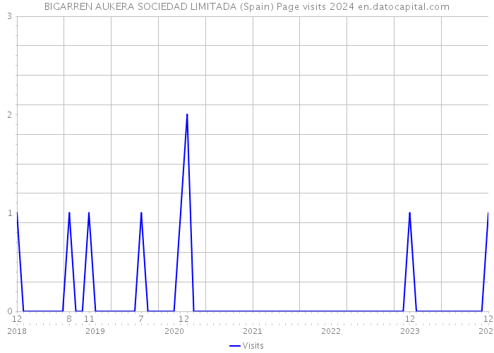 BIGARREN AUKERA SOCIEDAD LIMITADA (Spain) Page visits 2024 