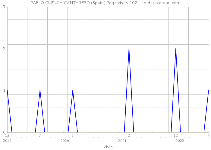 PABLO CUENCA CANTARERO (Spain) Page visits 2024 