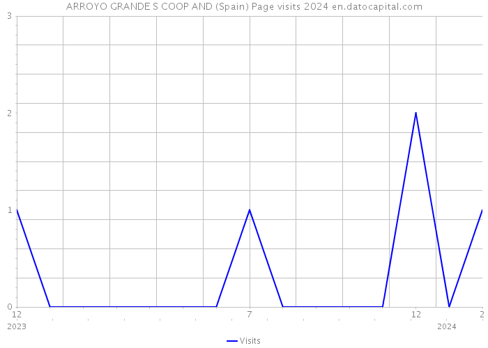 ARROYO GRANDE S COOP AND (Spain) Page visits 2024 