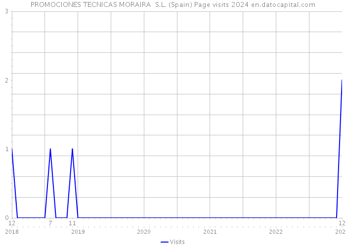 PROMOCIONES TECNICAS MORAIRA S.L. (Spain) Page visits 2024 