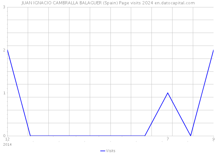 JUAN IGNACIO CAMBRALLA BALAGUER (Spain) Page visits 2024 