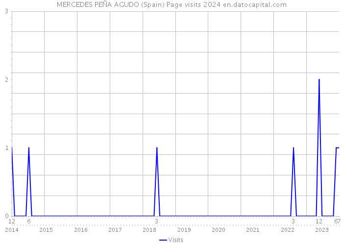 MERCEDES PEÑA AGUDO (Spain) Page visits 2024 