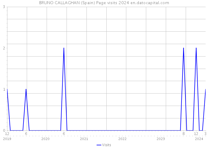 BRUNO CALLAGHAN (Spain) Page visits 2024 