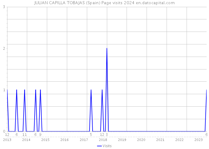 JULIAN CAPILLA TOBAJAS (Spain) Page visits 2024 