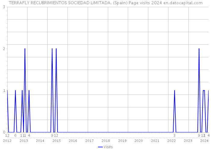 TERRAFLY RECUBRIMIENTOS SOCIEDAD LIMITADA. (Spain) Page visits 2024 