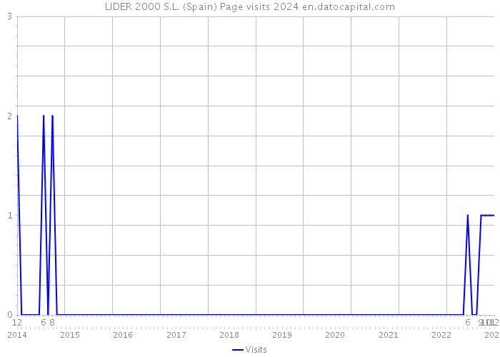 LIDER 2000 S.L. (Spain) Page visits 2024 