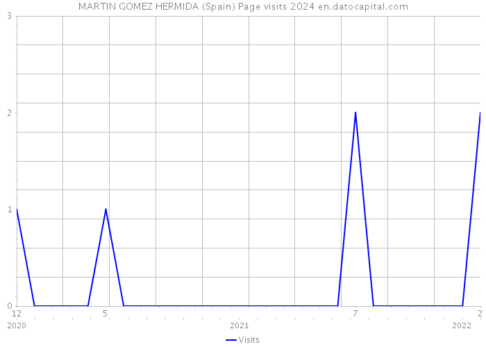 MARTIN GOMEZ HERMIDA (Spain) Page visits 2024 