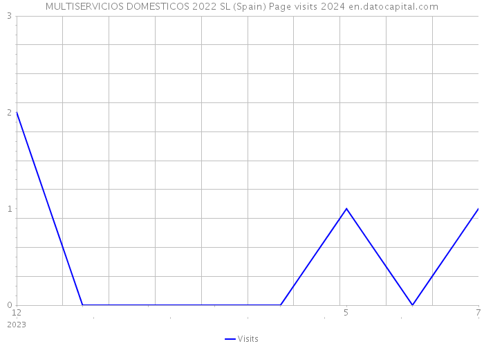 MULTISERVICIOS DOMESTICOS 2022 SL (Spain) Page visits 2024 