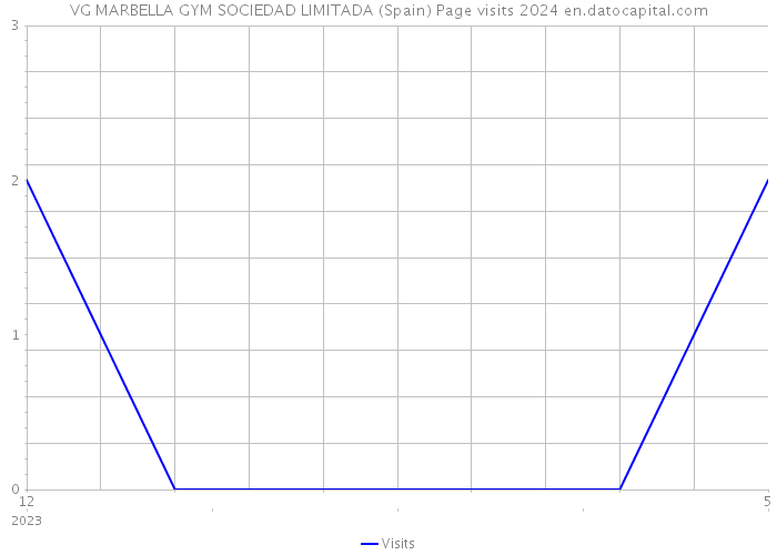 VG MARBELLA GYM SOCIEDAD LIMITADA (Spain) Page visits 2024 
