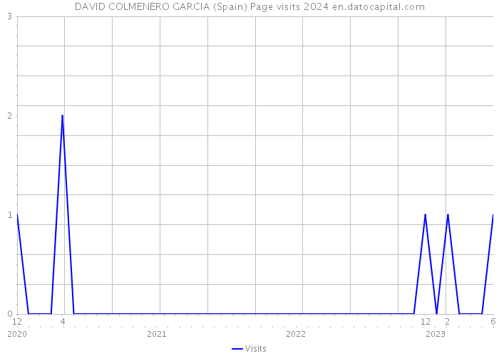 DAVID COLMENERO GARCIA (Spain) Page visits 2024 