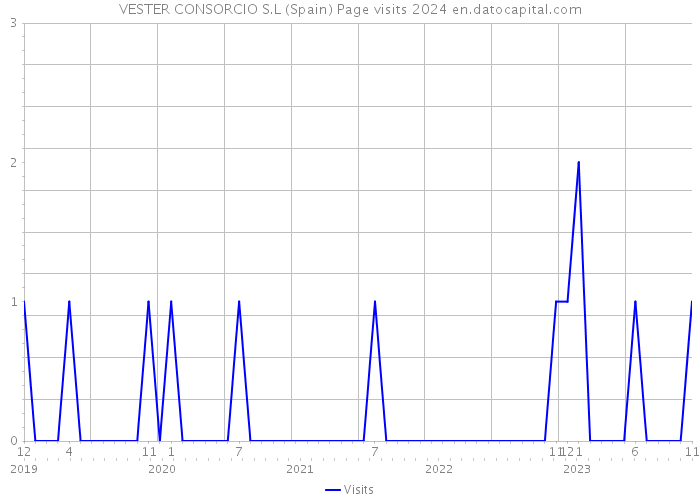 VESTER CONSORCIO S.L (Spain) Page visits 2024 