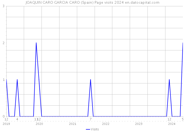 JOAQUIN CARO GARCIA CARO (Spain) Page visits 2024 