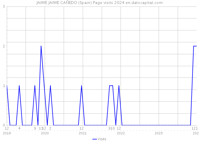 JAIME JAIME CAÑEDO (Spain) Page visits 2024 