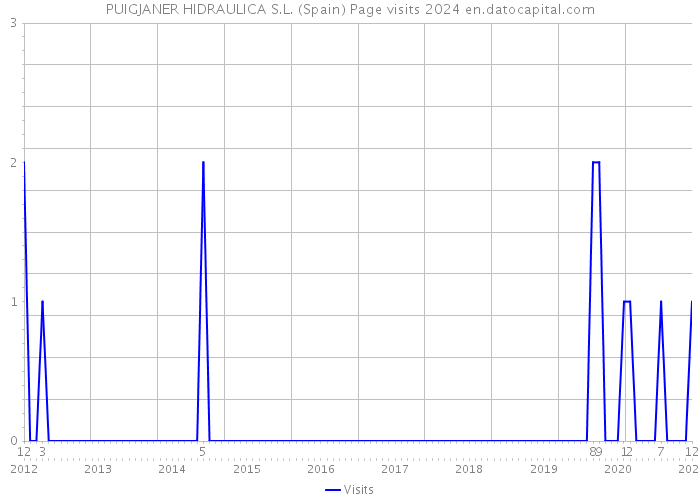 PUIGJANER HIDRAULICA S.L. (Spain) Page visits 2024 