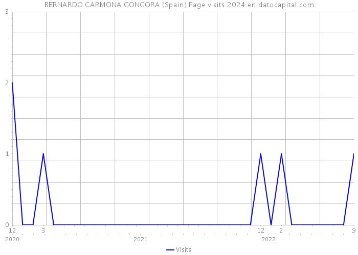 BERNARDO CARMONA GONGORA (Spain) Page visits 2024 
