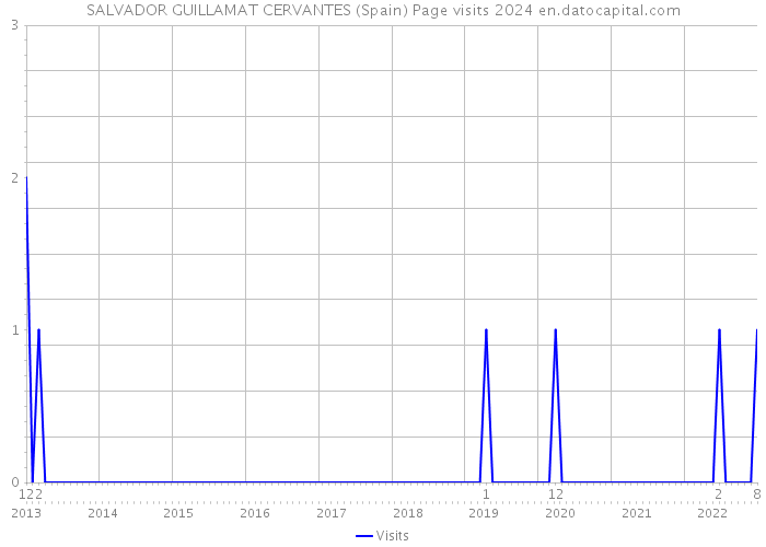 SALVADOR GUILLAMAT CERVANTES (Spain) Page visits 2024 