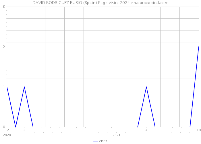 DAVID RODRIGUEZ RUBIO (Spain) Page visits 2024 