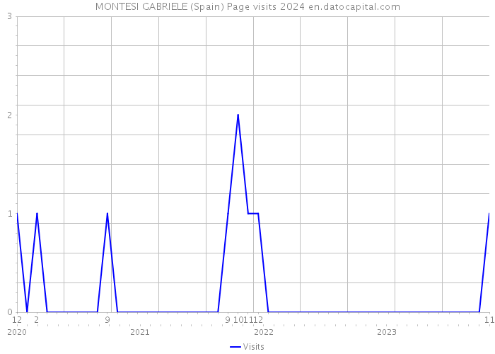 MONTESI GABRIELE (Spain) Page visits 2024 