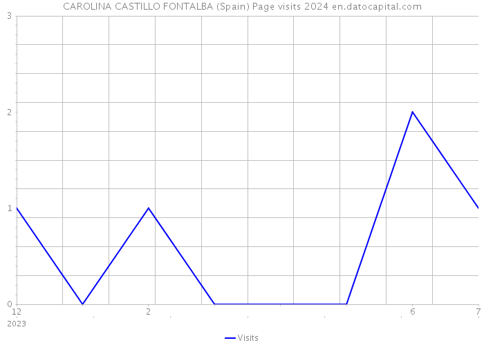 CAROLINA CASTILLO FONTALBA (Spain) Page visits 2024 