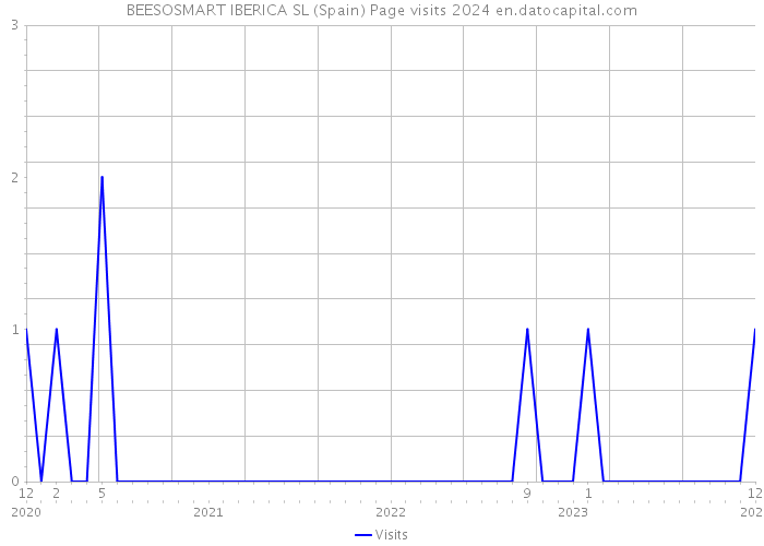 BEESOSMART IBERICA SL (Spain) Page visits 2024 
