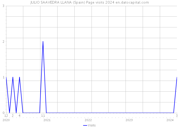 JULIO SAAVEDRA LLANA (Spain) Page visits 2024 