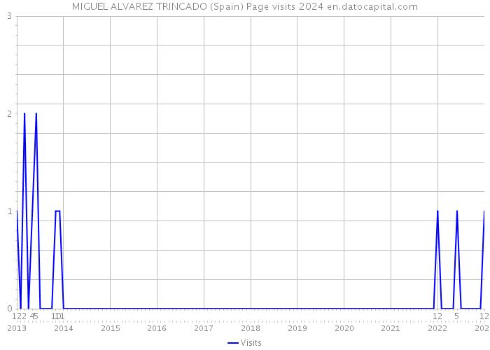 MIGUEL ALVAREZ TRINCADO (Spain) Page visits 2024 