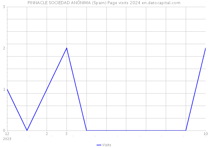 PINNACLE SOCIEDAD ANÓNIMA (Spain) Page visits 2024 