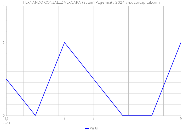 FERNANDO GONZALEZ VERGARA (Spain) Page visits 2024 