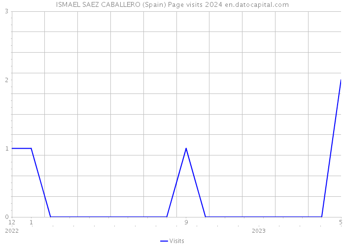ISMAEL SAEZ CABALLERO (Spain) Page visits 2024 