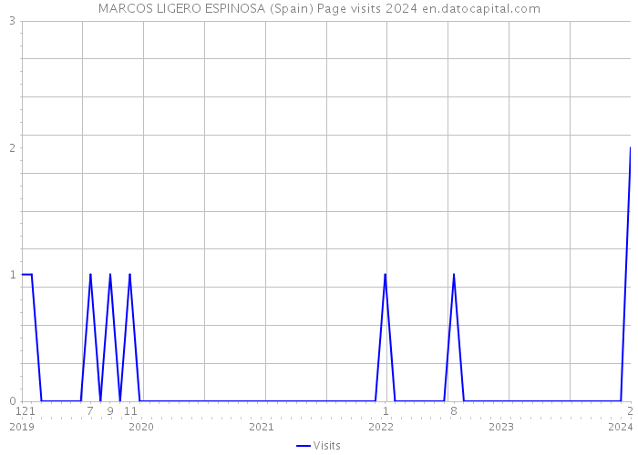 MARCOS LIGERO ESPINOSA (Spain) Page visits 2024 