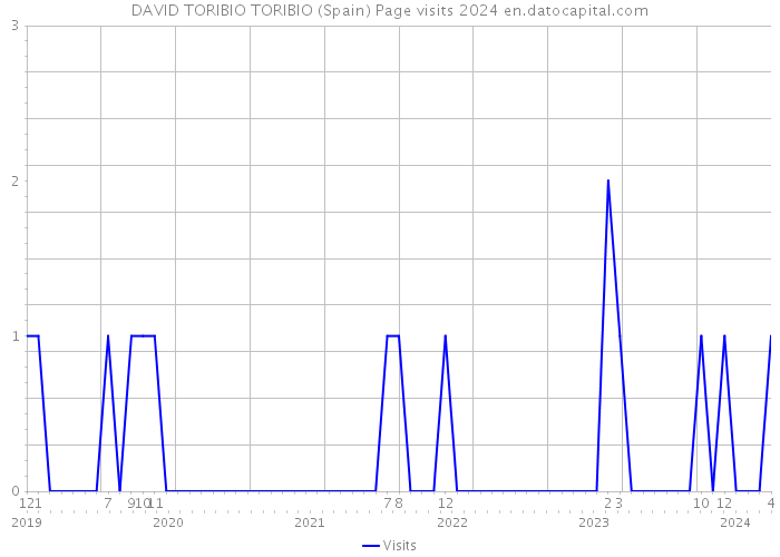 DAVID TORIBIO TORIBIO (Spain) Page visits 2024 