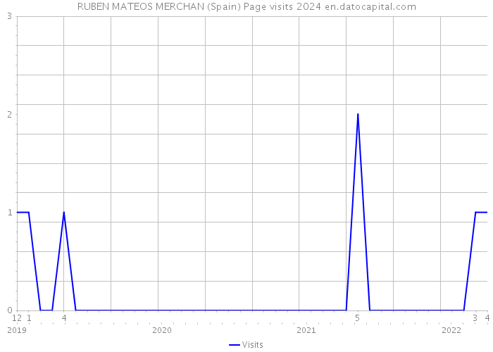 RUBEN MATEOS MERCHAN (Spain) Page visits 2024 