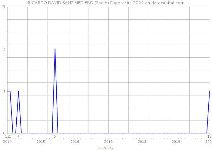 RICARDO DAVID SANZ MEDIERO (Spain) Page visits 2024 