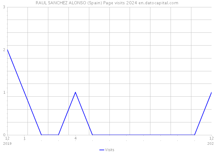 RAUL SANCHEZ ALONSO (Spain) Page visits 2024 