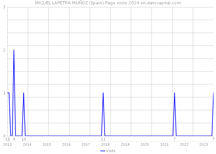 MIGUEL LAPETRA MUÑOZ (Spain) Page visits 2024 