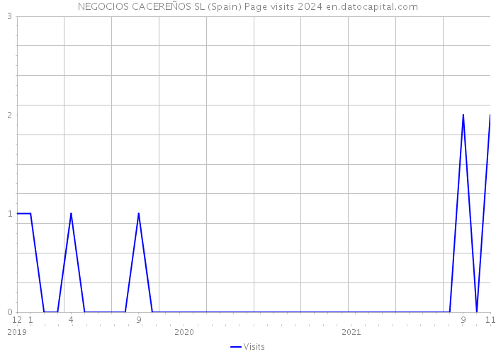 NEGOCIOS CACEREÑOS SL (Spain) Page visits 2024 