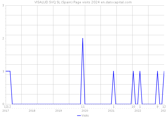 VISALUD SVQ SL (Spain) Page visits 2024 