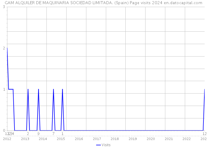 GAM ALQUILER DE MAQUINARIA SOCIEDAD LIMITADA. (Spain) Page visits 2024 