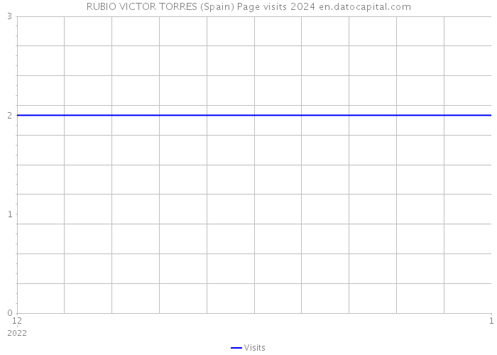 RUBIO VICTOR TORRES (Spain) Page visits 2024 