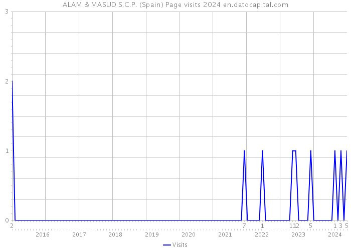 ALAM & MASUD S.C.P. (Spain) Page visits 2024 