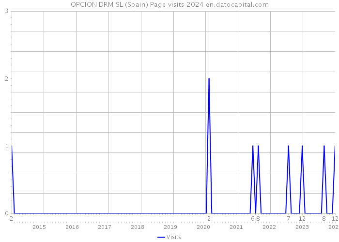 OPCION DRM SL (Spain) Page visits 2024 