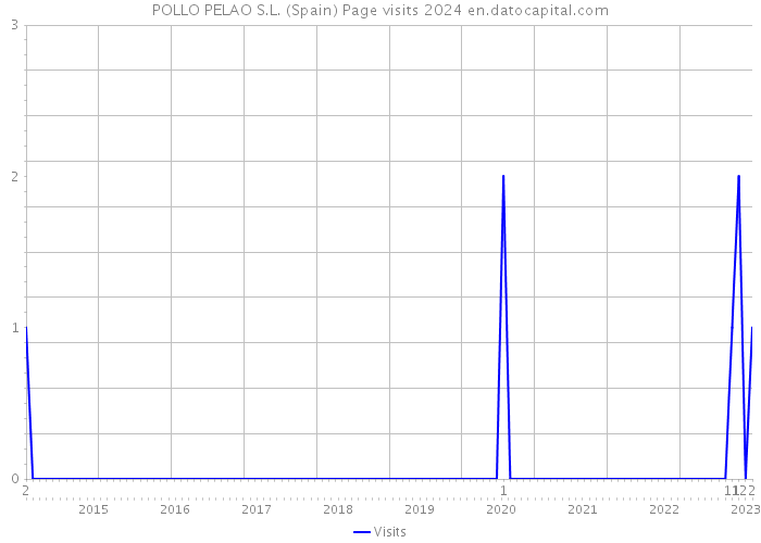 POLLO PELAO S.L. (Spain) Page visits 2024 