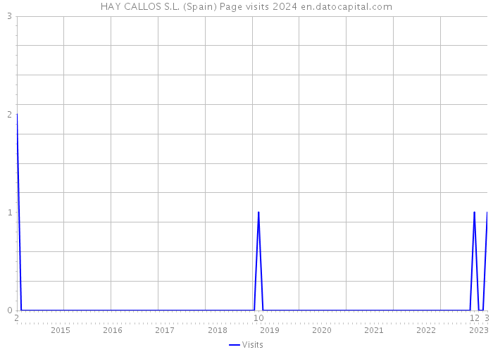 HAY CALLOS S.L. (Spain) Page visits 2024 
