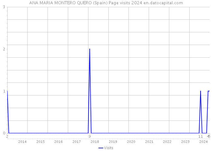 ANA MARIA MONTERO QUERO (Spain) Page visits 2024 