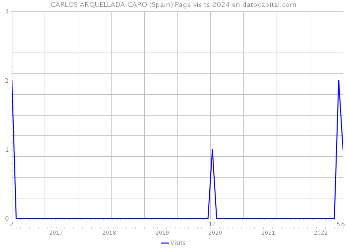 CARLOS ARQUELLADA CARO (Spain) Page visits 2024 