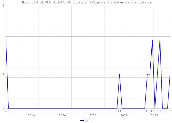 TINERFENA DE RESTAURACION S.L. (Spain) Page visits 2024 