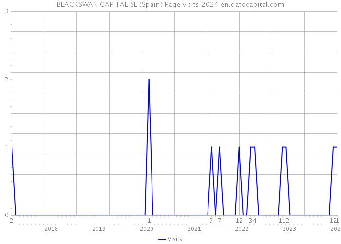 BLACKSWAN CAPITAL SL (Spain) Page visits 2024 