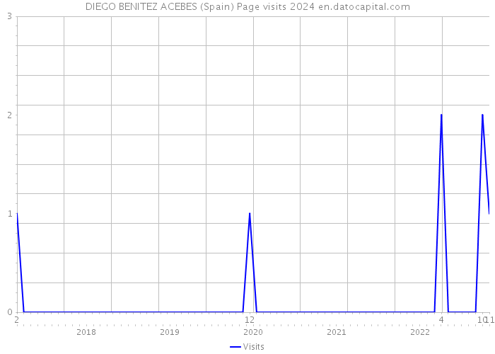 DIEGO BENITEZ ACEBES (Spain) Page visits 2024 