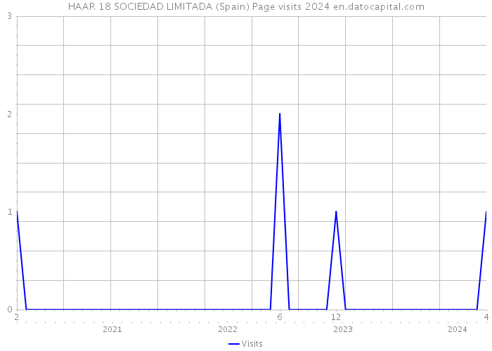 HAAR 18 SOCIEDAD LIMITADA (Spain) Page visits 2024 